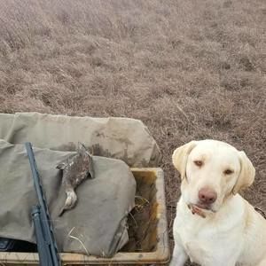 Meet your Posher, Billy